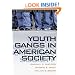 Youth Gangs in American Society (Contemporary Issues in Crime and Justice Series.)