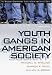 Youth Gangs in American Society (Contemporary Issues in Crime and Justice Series.)