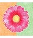 Canvas Wall Art-Gerber Daisy/Fun Flower