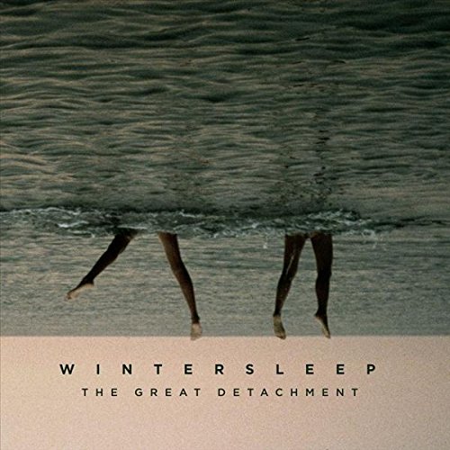 Wintersleep - The Great Detachment - Zortam Music