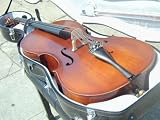 Berkeley Electric Acustic 5 Strring Cello w/Fiber caseB