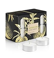 24 Clementine Juniper Scented Tealights