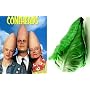 Conehead Cabbage 100 Seeds