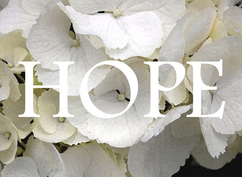 Hope/Joy On Sale