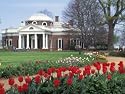 Spring Tulips at Monticello, Thomas Jefferson's Home in Charlottesville, Virginia Photographic Poster Print, 40x30