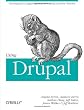 Using Drupal