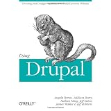 Using Drupalby Angela Byron