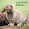 Lop-Eared Rabbits 2011 Square 12X12 Wall Calendar