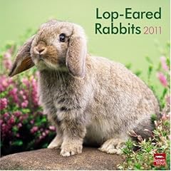 Lop-eared Rabbits 2011