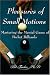 Pleasures of Small Motions: Mastering the Mental Game of Pocket Billiards