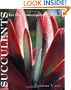Succulents for the Contemporary Garden