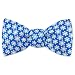 Winter Snowflakes by Wild Ties parisian blue silk freestyle bowties