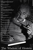 The Wisdom of Einstein People Poster Print, 23x35