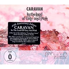 In The Land Of Grey And Pink (Deluxe Edition - 40th Anniversary)