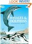 Whales and Dolphins Coloring Book (Dover Nature Coloring Book)