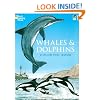 Whales and Dolphins Coloring Book (Dover Nature Coloring Book)