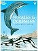 Whales and Dolphins Coloring Book (Dover Nature Coloring Book)