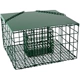 Squirrel Resistant Suet Palace