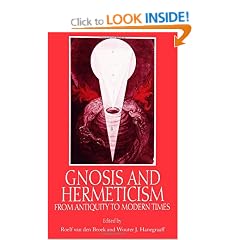 Gnosis and Hermeticism from Antiquity to Modern Times (SUNY Series in Western Esoteric Traditions)