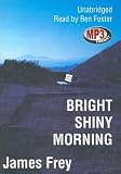 Bright Shiny Morning