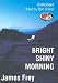 Bright Shiny Morning (CD-ROM)