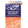 The Deities Are Many: A Polytheistic Theology (S U N Y Series in Religious Studies)