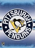 Pittsburgh Penguins 11x15 3rd Period Garden Flag