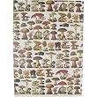Mushrooms and Sponges Poster Decoupage Gift Wrap 20 x 28 "