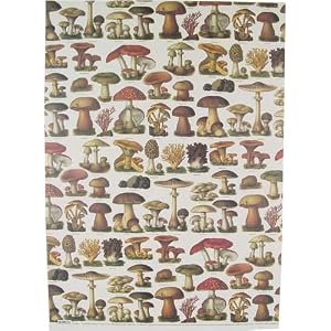 Mushrooms and Sponges Poster Decoupage Gift Wrap 20 x 28 "