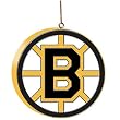 Boston Bruins NHL Team Logo Tree Ornament