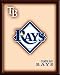 Tampa Bay Rays WOODEN WALL ART BAR/GAMEROOM/HOME DECOR - POSTER/PRINT