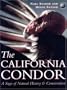 The California Condor:  A Saga of Natural History and Conservation (Ap Natural World)