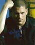 Wentworth Miller Prison Break Autograph Signed 8x10 Photo