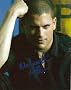 Wentworth Miller Prison Break Autograph Signed 8x10 Photo