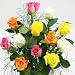 1 Doz. Rainbow Roses Bouquet 2041
