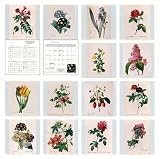 Redoute 2008 Wall Calendar