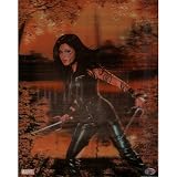 (16x20) Elektra Marvel Comics 3-D Lenticular Art Print Poster