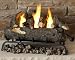 Real Flame 24-Inch Convert-to-Gel Log Set, Oak
