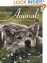 Painting Animals That Touch the Heart