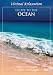 Virtual Relaxation: Escape to the Ocean