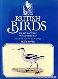 British birds