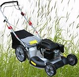 Petrol Lawnmower 22 Self Propelled Cut Mulch