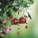Parasol BQ2DHFR Bouquet Deluxe Heart Blown Glass Hummingbird Feeder Flame Red