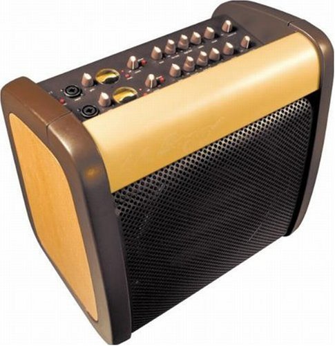 LR Baggs Acoustic Reference Amplifier