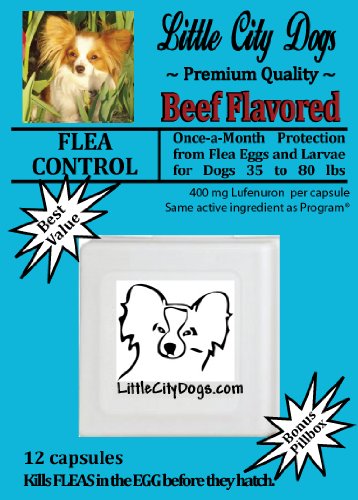 dog allergy to fleas:Little City Dogs FLEA CONTROL Capsules for Dogs 35 to 80 lbs - TWELVE 400 mg Lufenuron Capsules ...Same Active Ingredient As Program® - a full year of protection from flea eggs & larvae