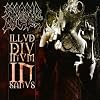 Illud Divinum Insanus