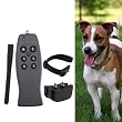 Rechargeable Safe Dog Training Collar with Vibration and 6 Levels of Shock Rechargeable Safe Dog Training Collar with Vibration and 6 Levels of Shock