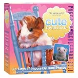 Cute Overload Page-A-Day Calendar 2011by Workman Publishing...