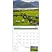 Turner Ireland 2016 Wall Calendar (8940029)