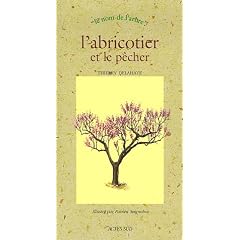 L'abricotier et le p�cher